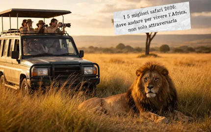 I 5 migliori safari 2026